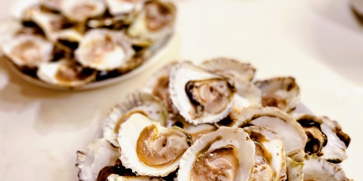 WhatsApp Image 2022-12-19 at 15.17.46