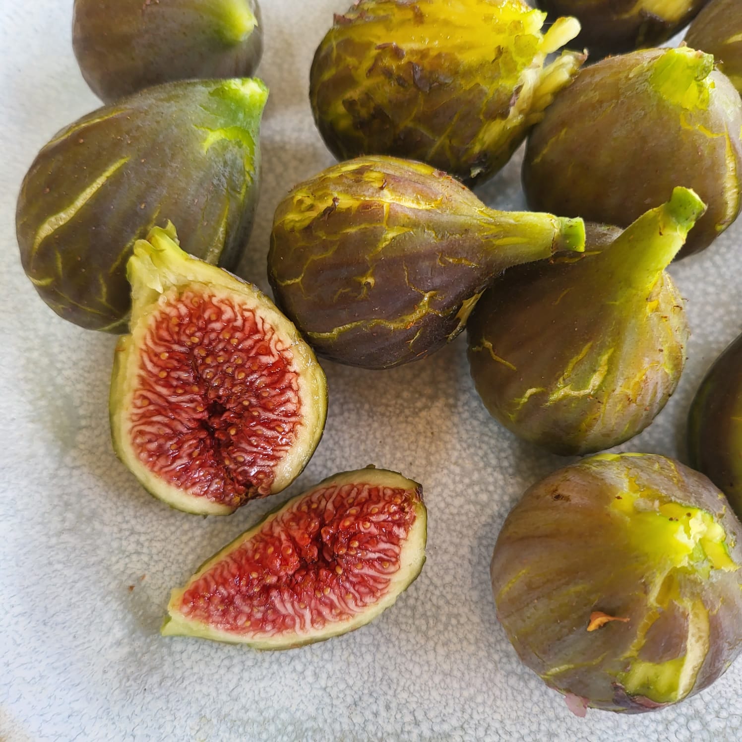 Le Fruit De La Rentr e La Figue MG PEP S